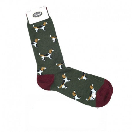 Calcetines Beagle verde caza